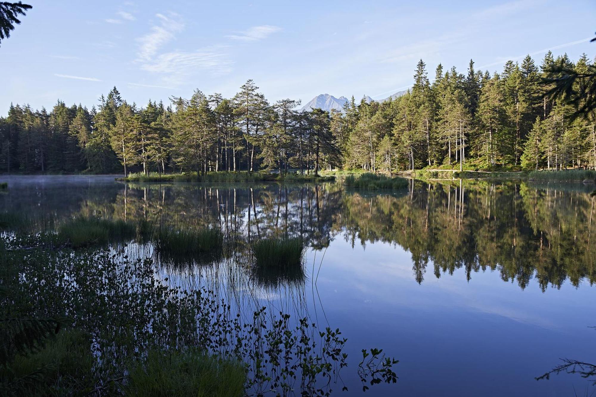 Appartements Landhaus Waidmannsheil Seefeld in Tirol Dış mekan fotoğraf